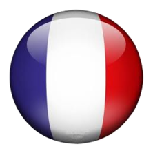 BALAI BROSSE (FABRICATION FRANÇAISE)